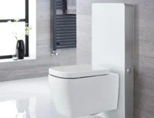 سيفونات خارجية